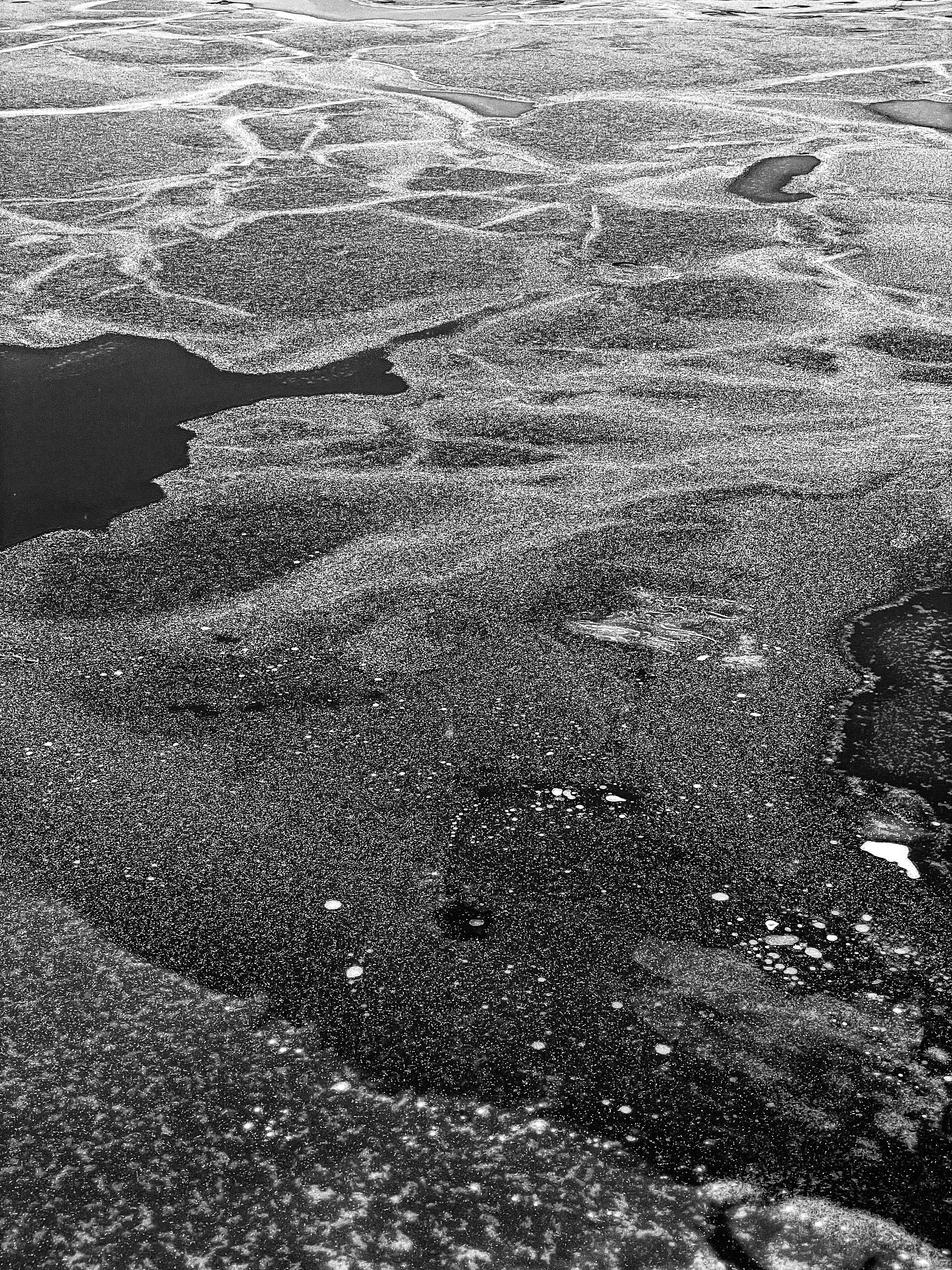 FrozenLakeLaSalle, Buffalo, NY